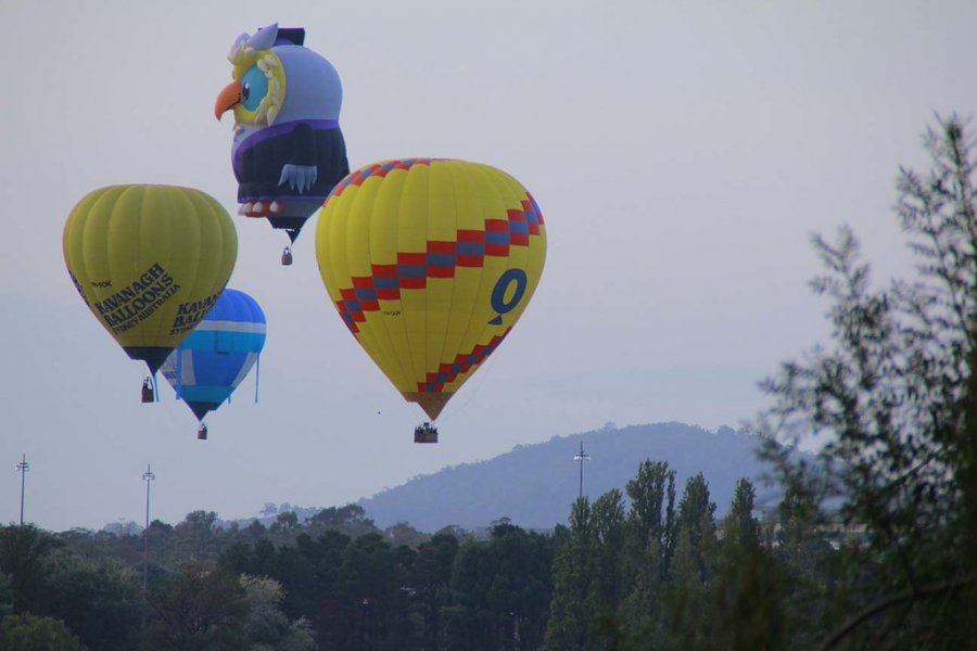 Sri Chinmoy Canberra Day 10km & 4km Fun-Runs, 14 March 2016