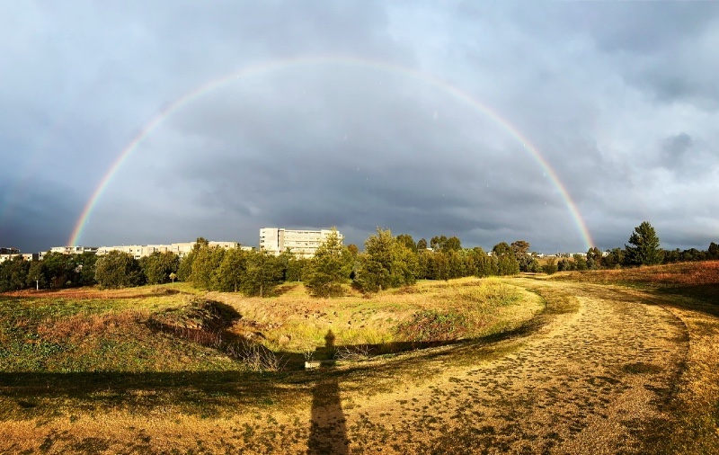 Sri Chinmoy "Stromlo Strides" Time-Trail Run, 29 May – 5 June 2020