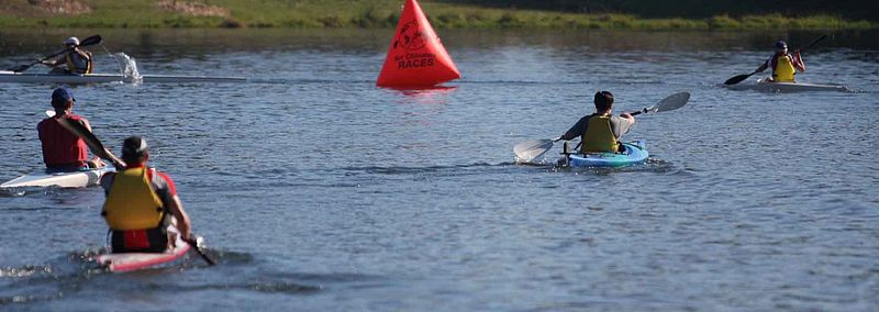 paddle.jpg