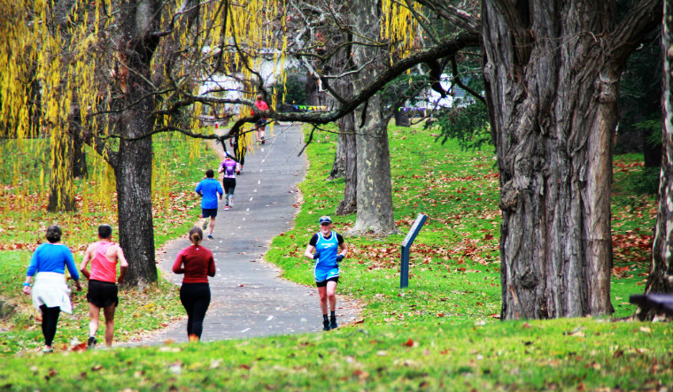 Sri Chinmoy Telopea Park Half-Marathon, 5 mile and 2 mile races, Canberra, Monday 12 June 2017