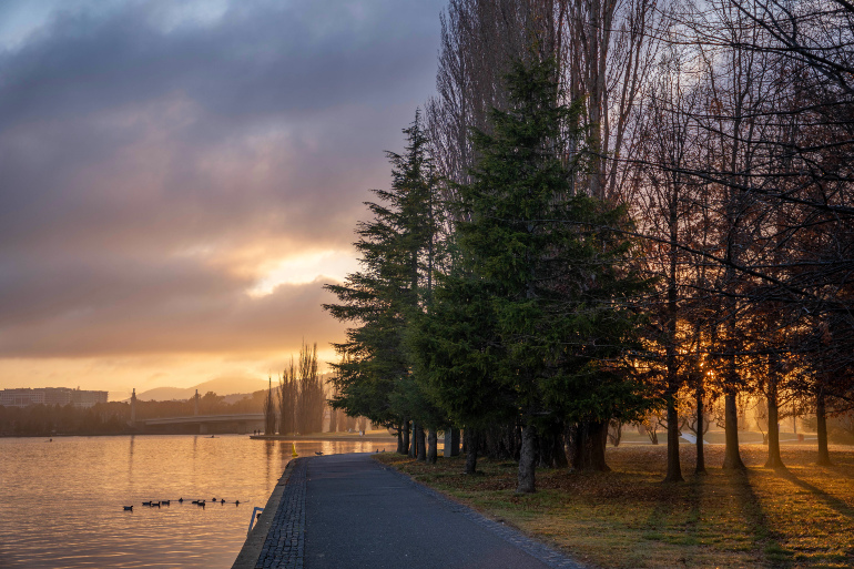 Sri Chinmoy Lennox Gardens Half-Marathon, 5 mile and 2 mile races, Monday 10 June 2024