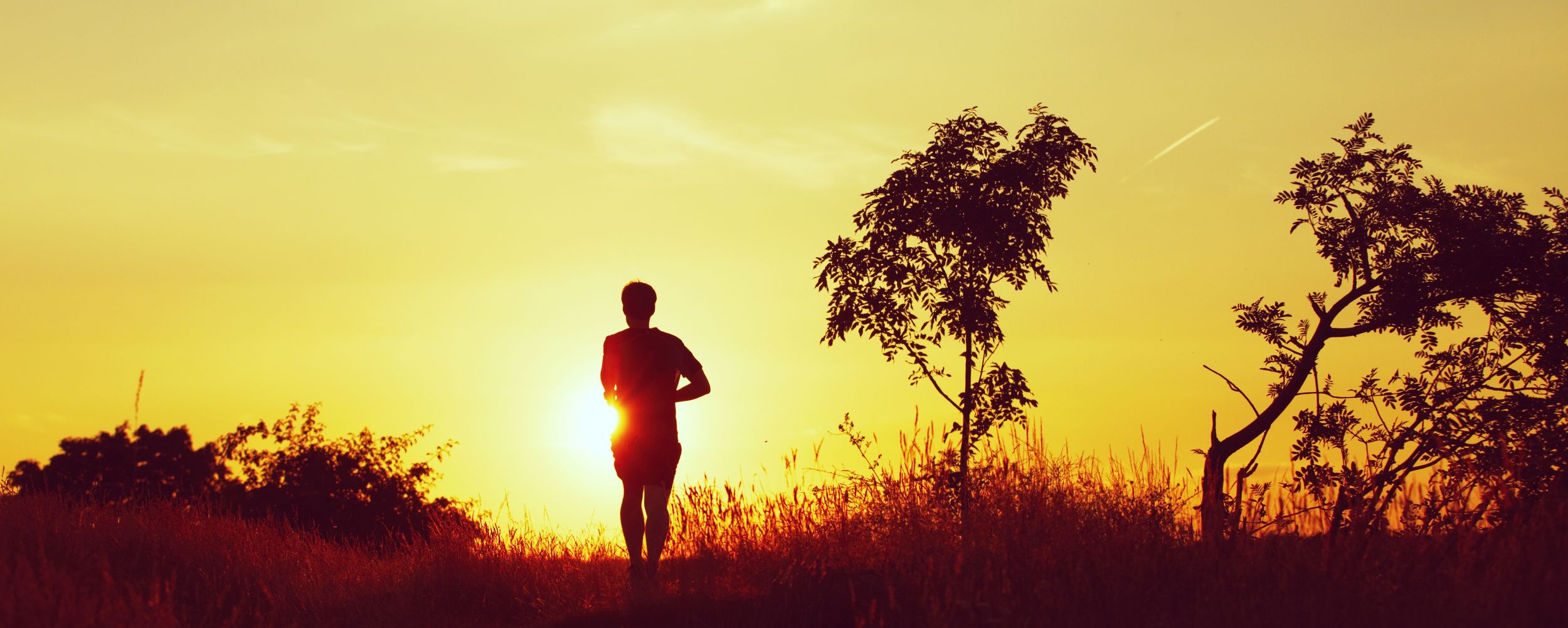 Sri Chinmoy Minnippi Parklands 2.5km, 10km & 15km Runs