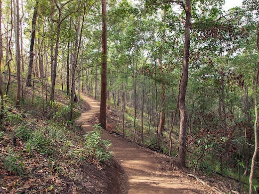 CANCELLED - Sri Chinmoy Mt Coot-tha Trail Run - 10km & 20km