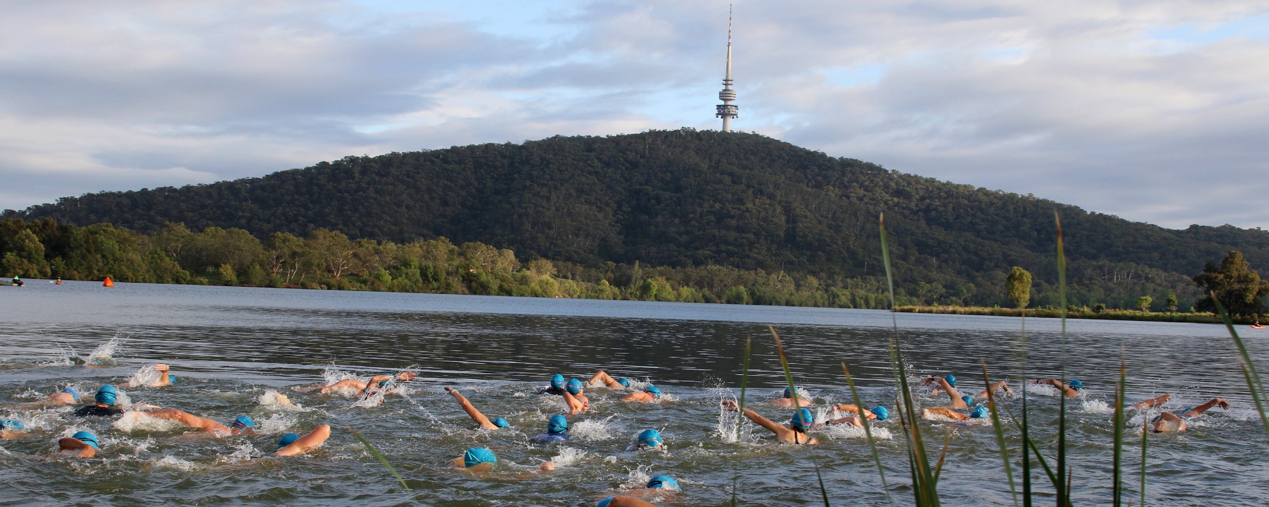 Sri Chinmoy Lake Swims