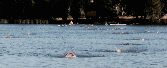 Sri Chinmoy Lake Swims