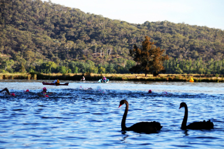 Sri Chinmoy Lake Swims