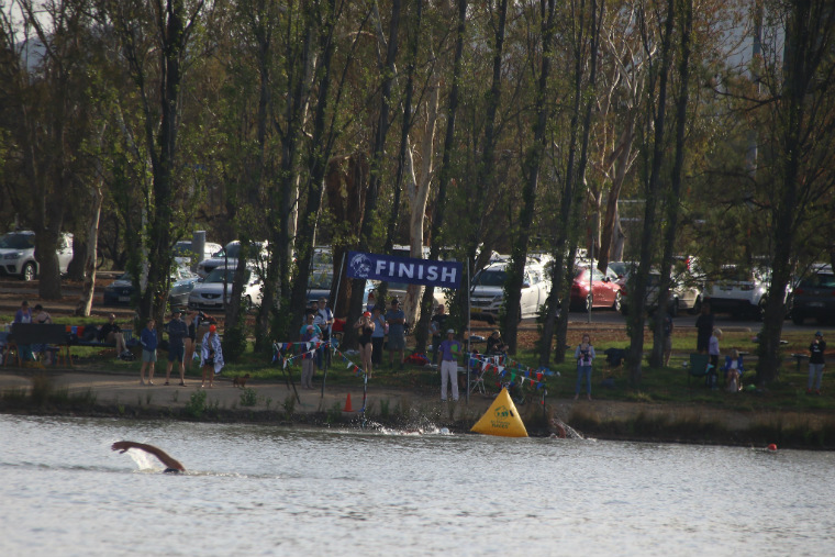Sri Chinmoy Lake Swims, Acton Ferry Terminal, Canberra, Sunday 23 February 2020
