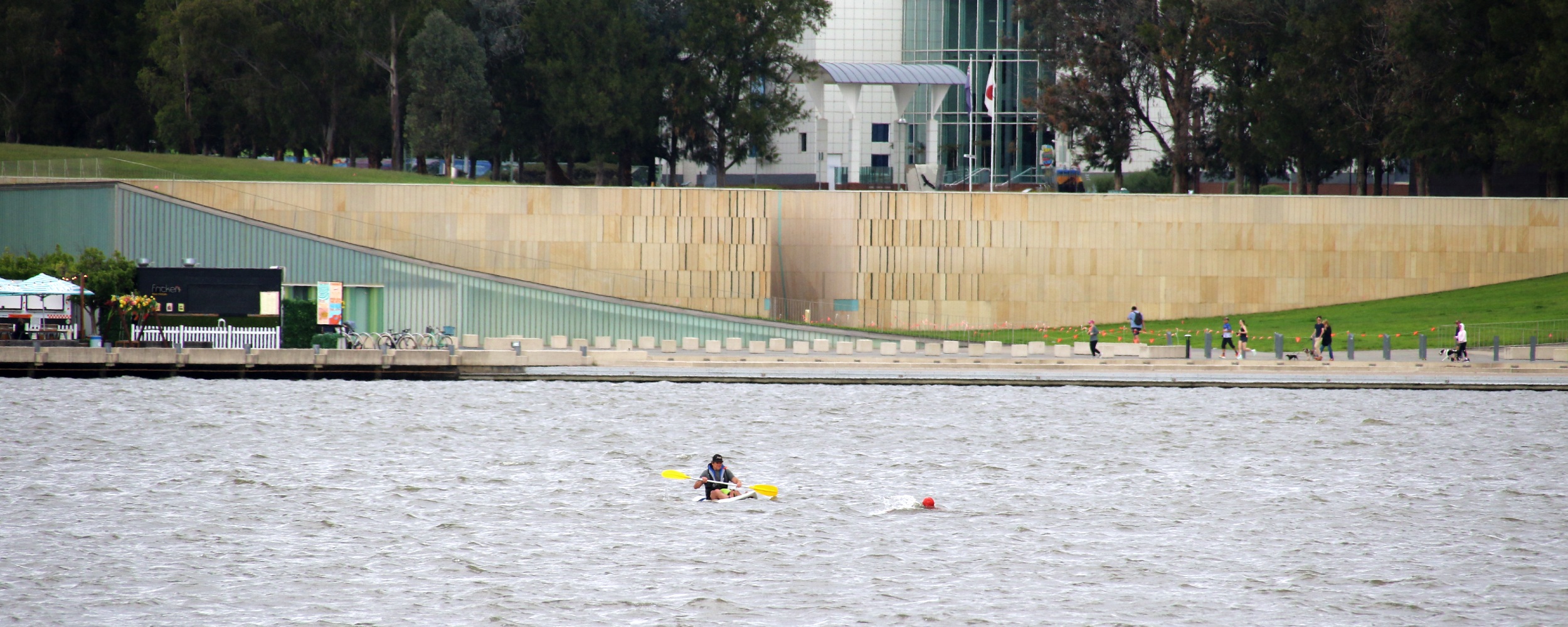 Sri Chinmoy National Capital Swim