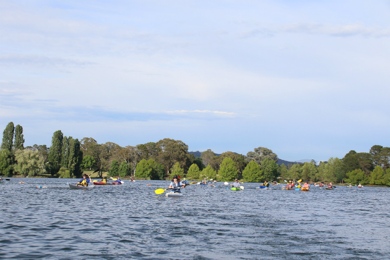 Sri Chinmoy National Capital Swim, 26 November 2017