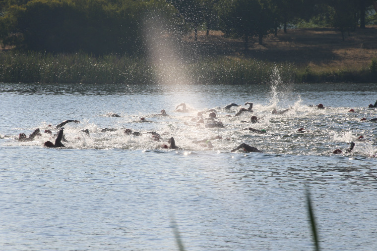 Sri Chinmoy National Capital Swim, Sunday 1 December 2019