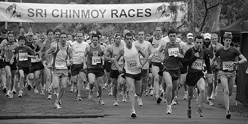Sri Chinmoy Princes Park 30K Results 2010