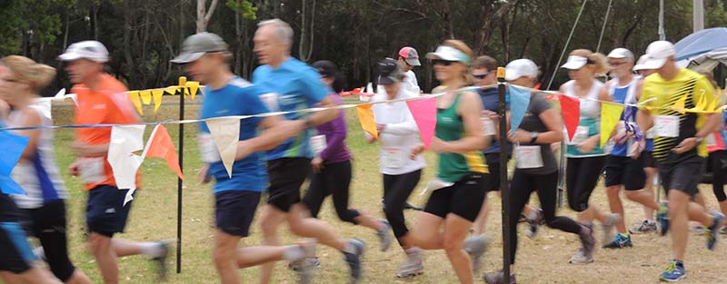 Sri Chinmoy Sydney Series 2013, Race 8: Mirambeena Race Report