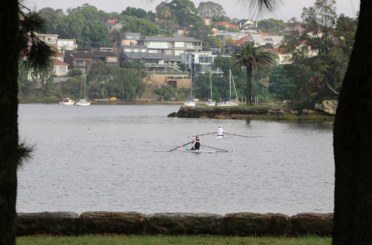 Sri Chinmoy Sydney Series 2018, race 7: Iron Cove 14km, 7km & 4km Runs, Sunday 16 December 2018