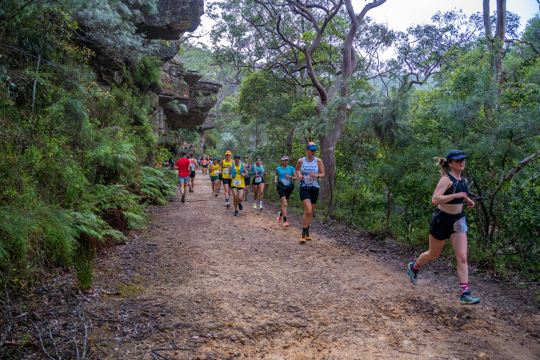 Sri Chinmoy Royal National Park Trail runs, Sunday 3 November 2024
