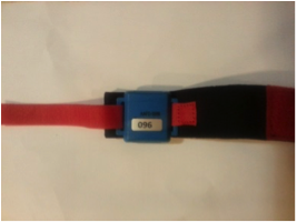 Sri Chinmoy Multi-Sport Yerrabi/Mulligans Flat