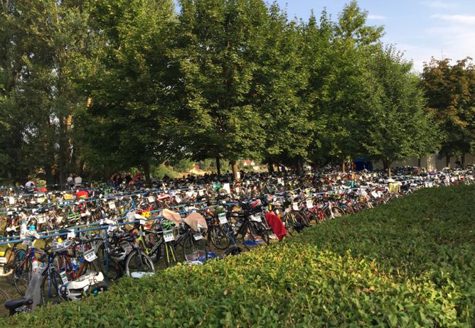 bicycles_small1.jpg