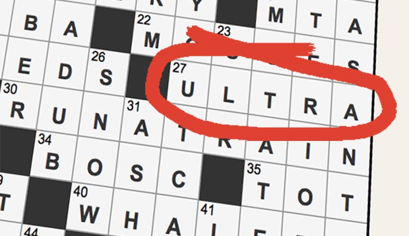 The New York Times Crossword Puzzle and the 3,100 Mile Race